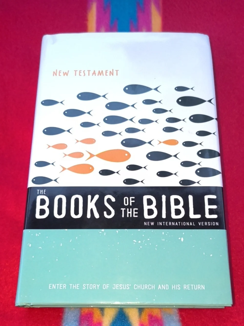 The Books of the Bible: New Testament: Enter the Story of Jesus’ Church and...